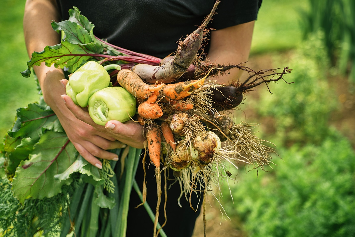 From Farm To Table Truly Land Trust Of Santa Cruz County