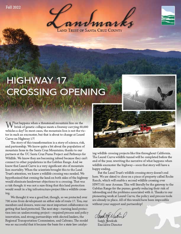 Highway 17 Crossing Opening Land Trust Santa Cruz